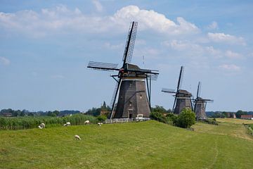 Holland, Stompwijk, Molendriegang, drie windmolens   van Frans Rombout