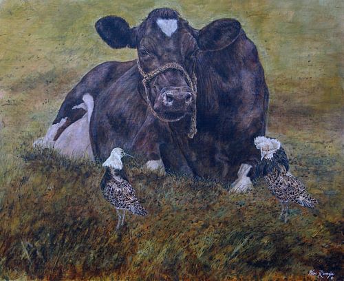 Le pâturage comme lieu de parade nuptiale