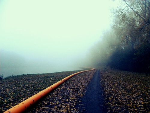 Mist van L.J. Lammers