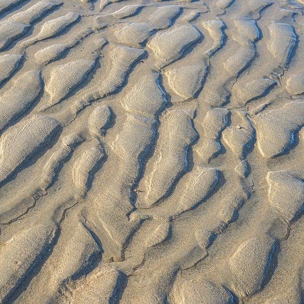 Strand Muster von John Monster