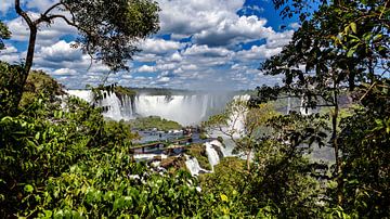 Die Iguazu Wasserfälle zwischen Argentinien und Brasilien
