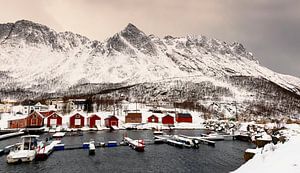 Bootshäuser auf Senja im Winter, Norwegen