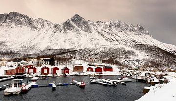 Boothuizen op Senja in winter, Noorwegen van Adelheid Smitt