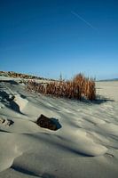 Beach of Ameland