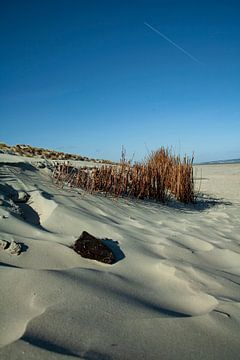 Strand van Ameland van Luc Sijbers