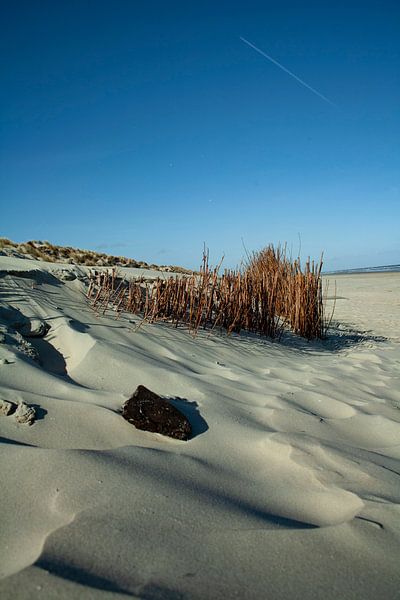 Beach of Ameland by Luc Sijbers