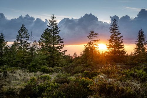 L'ambiance du Harz