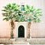 Marrakesh