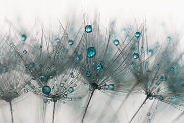 Abstract turquoise and gray: A line pattern from nature with drops by Marjolijn van den Berg