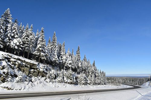 Een landweg in de winter