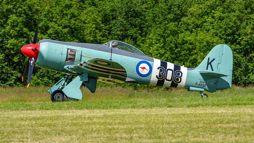 Hawker Sea Fury FB.11 fighter. by Jaap van den Berg