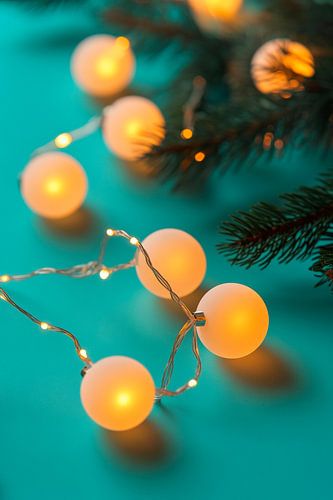 Vrolijke feeënlichtjes onder sparrentakken