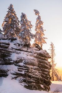 Lumière dorée du soir sur Denis Feiner