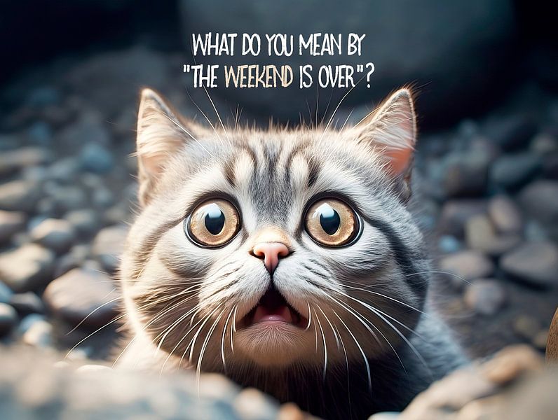 Het weekend van LUSTIGE KATZE is voorbij van Melanie Viola