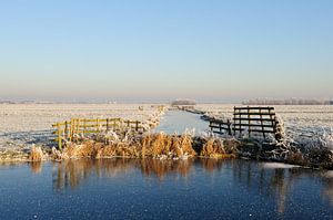 Paysage de polders néerlandais en hiver sur Merijn van der Vliet