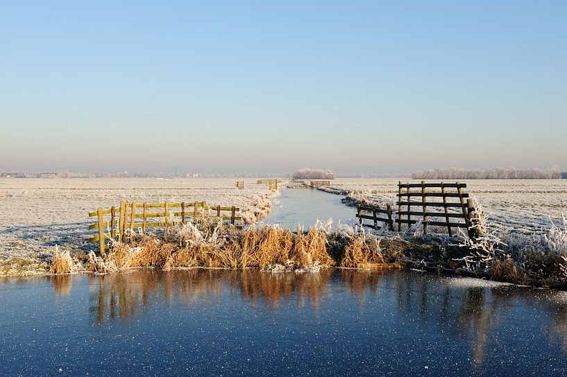Nederlands polderlandschap in de winter van Merijn van der Vliet