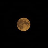 Supermoon orange 30-08-2023