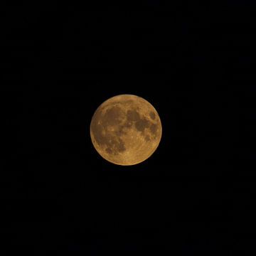 Supermoon orange 30-08-2023 by G. van Dijk