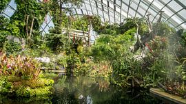 Cloud Forest - Singapore sur Raymond Gerritsen