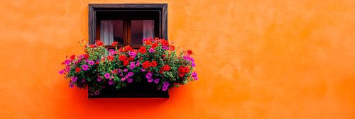 Bloeiend raam op een oranje muur