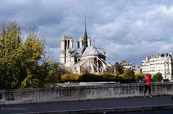 Paris - The Notre-Dame