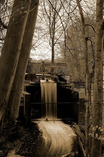 Ein Wasserfall in Sepia von Gerard de Zwaan