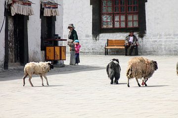 Streets of Tibet van nadine Baadjou