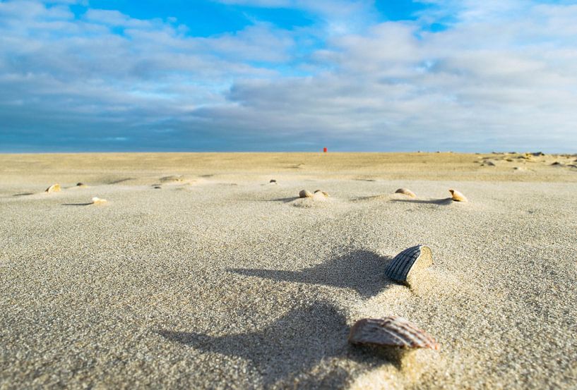 De ruimte op het strand par Dick Hooijschuur