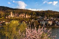 Spring in Heidelberg by Michael Valjak thumbnail