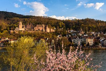 Frühling in Heidelberg von Michael Valjak