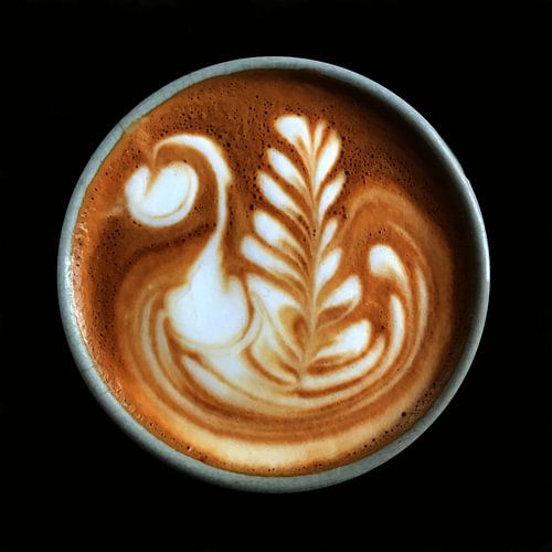 Cappuccino V