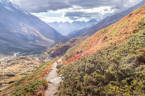 Herfstkleuren met Jacobsladder in het Lötschental.