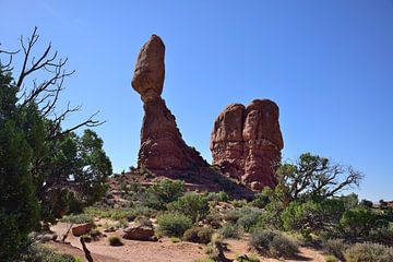 De verbazingwekkende Balanced Rock van Frank's Awesome Travels