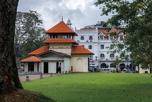 Sri Lanka, das Land der alten Tempel und spirituellen Stätten, in dem Kultur auf Natur trifft.