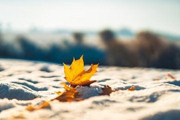 Herbst und Winter von Catrin Grabowski