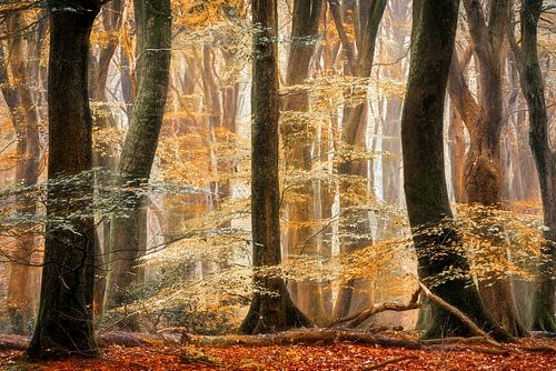 We dance when no one is looking