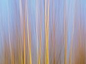 Abstracte impressie van een berkenbos van Kristof Lauwers thumbnail