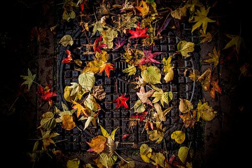 Herbstmalerei auf der Straße