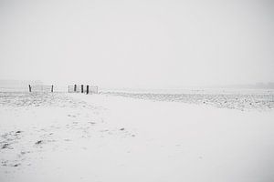 Pâturage blanc