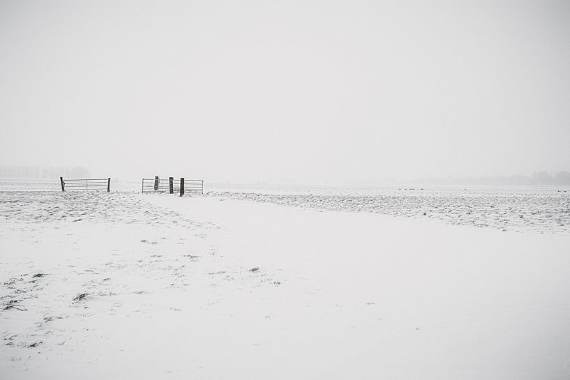 White pasture by thomaswphotography