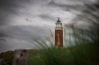 Leuchtturm Texel von Jitske Cuperus-Walstra Miniaturansicht