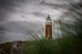 Leuchtturm Texel von Jitske Cuperus-Walstra