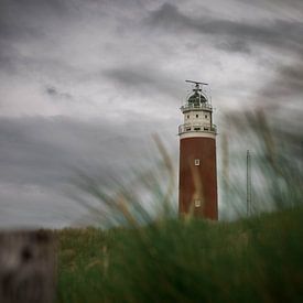 Leuchtturm Texel von Jitske Cuperus-Walstra
