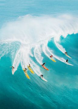 Let's Surf by Gal Design