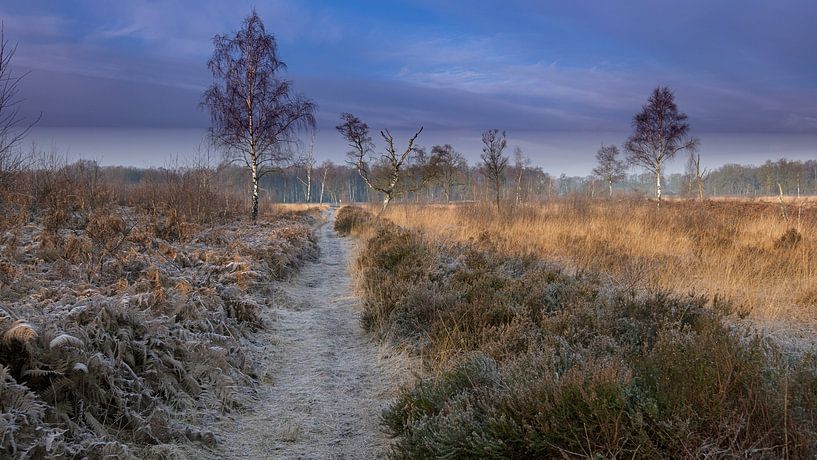Une touche de givre par Rene Wolf