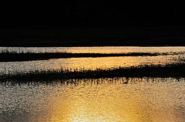 Art de la nature 1 sur Willem van Leuveren Fotografie
