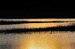 Natuurkunst 1