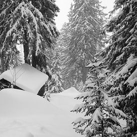 Hidden hut in the snow by Jan Fritz