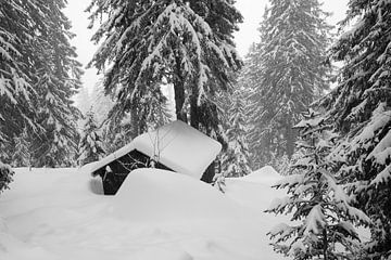 Verborgen hut in de sneeuw van Jan Fritz