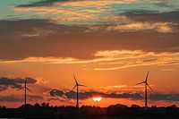 Windmills in the evening sun